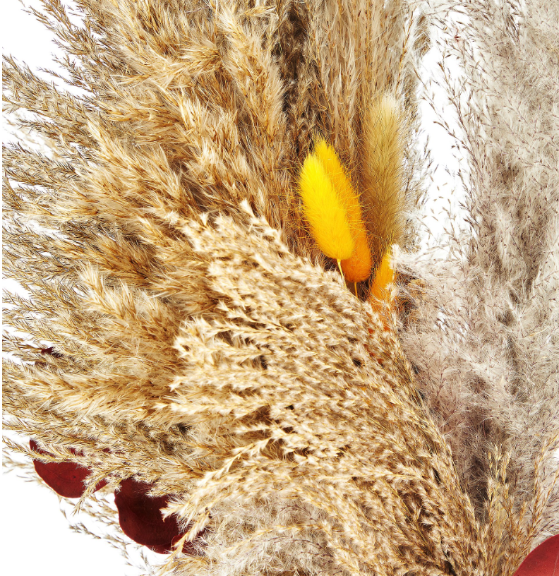 ABELLA Natura Trockenblumen Pampasgras Keramikvase Höhe ca. 70cm